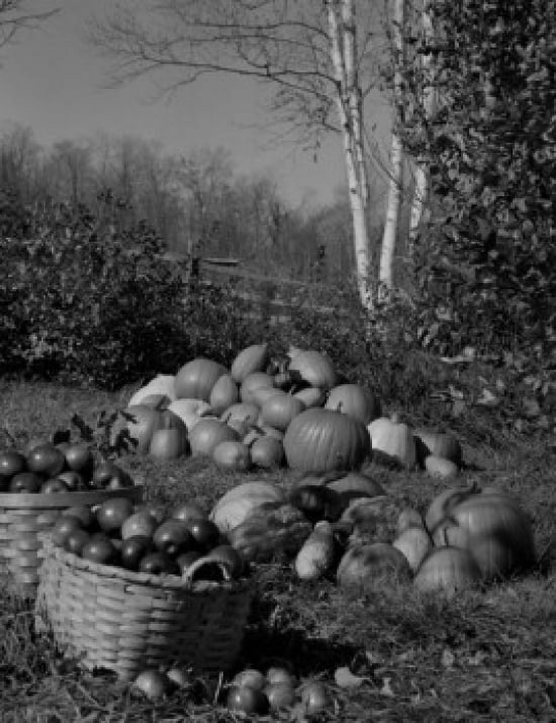 Pumpkins and apples in baskets Canvas Art - (18 x 24)