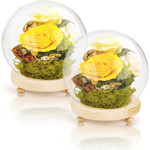 Pumtus 2 Pack Clear Glass Dome Cloche, 6 Inch Decorative Display Bell Jar with Wooden Base, DIY Snow Case Memory Showcase for Flower Tabletop Centerpiece Home Christmas Party Decoration