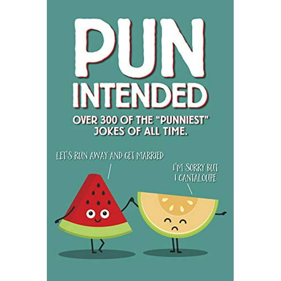 Pre-Owned Pun Intended Paperback Gift Book (Mass Market Paperback) 1682349403 9781682349403