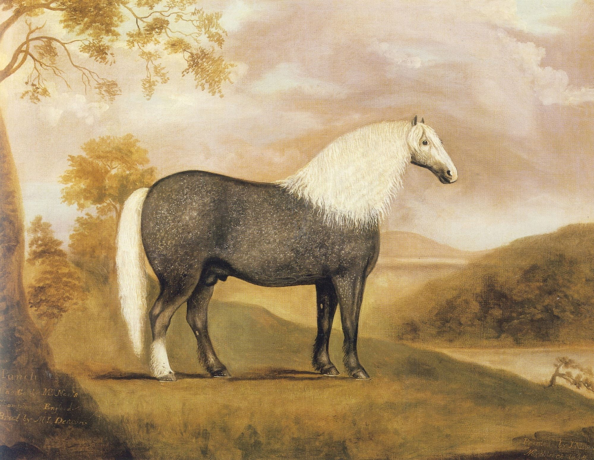 Punch A Grey Cart-Stallion (Shire Horse) 1835 Canvas Art - J of Northleach Miles (18 x 24)