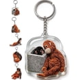 thumbnail image 1 of Punch Keychain Decoration | Cute Monkey Holding Plush Toy | Protect Punch The Monkey Keychain for Backpack Purse Car Keys(C), 1 of 5