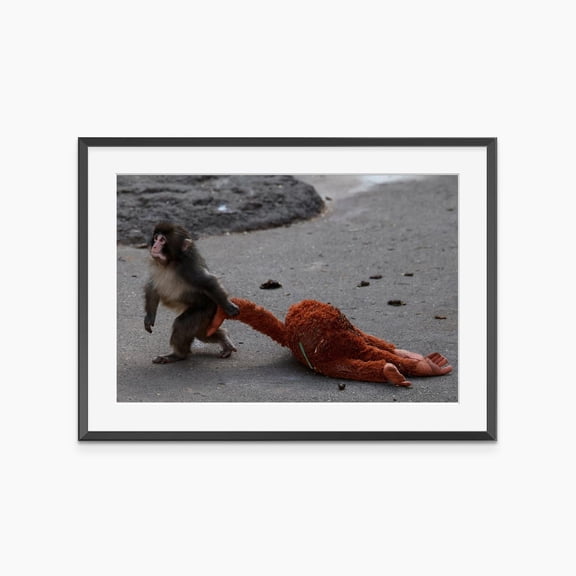 Punch Monkey Animal Print Meme Photography Prints Wall Art, Unframed Poster