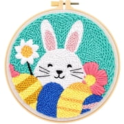 Easter Punch Needle Embroidery Kits for Beginners, Punch Needle Starter Kit with Easter Bunny Eggs Pattern Stamped Cloth Hoops Woolen and Tools, DIY Handicraft Kit