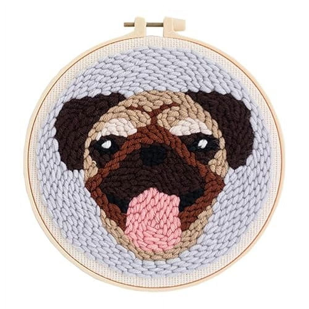 Punch Needle Kit Rug Set Embroidery Kits for Adults Beginner Starter ...
