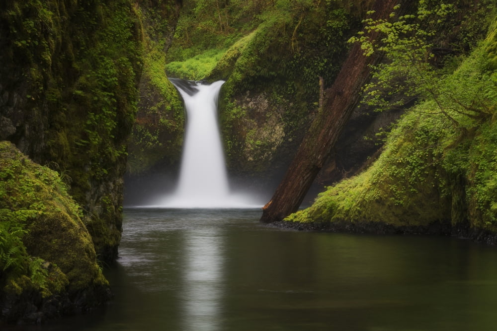 Punchbowl Falls Columbia River Gorge Oregon United States of America Canvas Art - Robert Postma Design Pics (38 x 24)