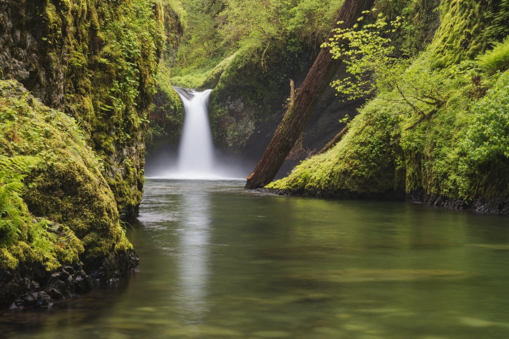 Punchbowl Falls Oregon United States of America Canvas Art - Robert Postma Design Pics (19 x 12)