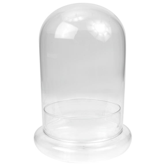 Pungan Flower Dome Glass Bell Flower Display for Garden or Terrarium Plants(7.87"X5.91"X5.91")