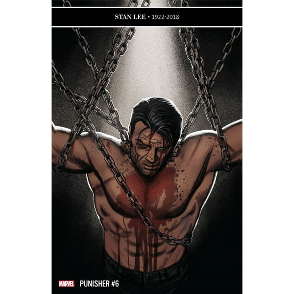 Punisher #6 () Marvel Comics Comic Book