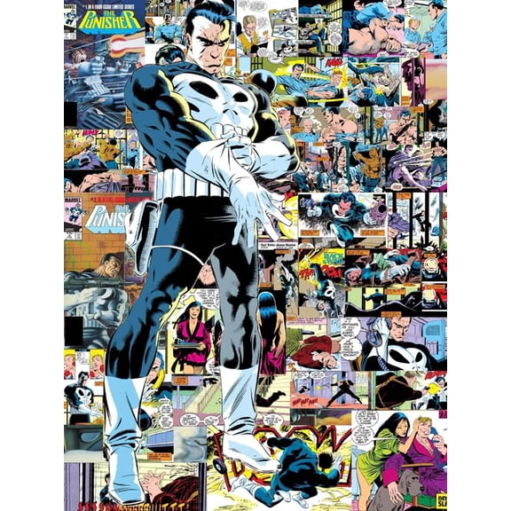 Punisher Comic Book Lot 15 Book Collection | Marvel Comics | Frank Castle