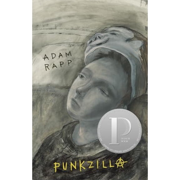 Pre-Owned Punkzilla (Hardcover) 0763630314 9780763630317