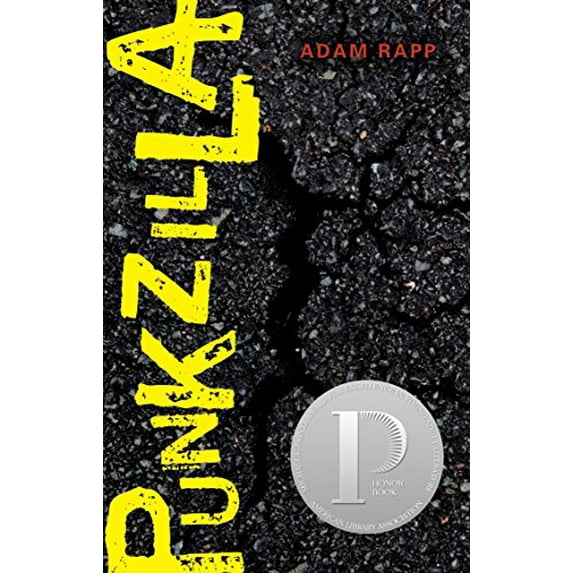 Pre-Owned Punkzilla (Paperback) 0763652970 9780763652975