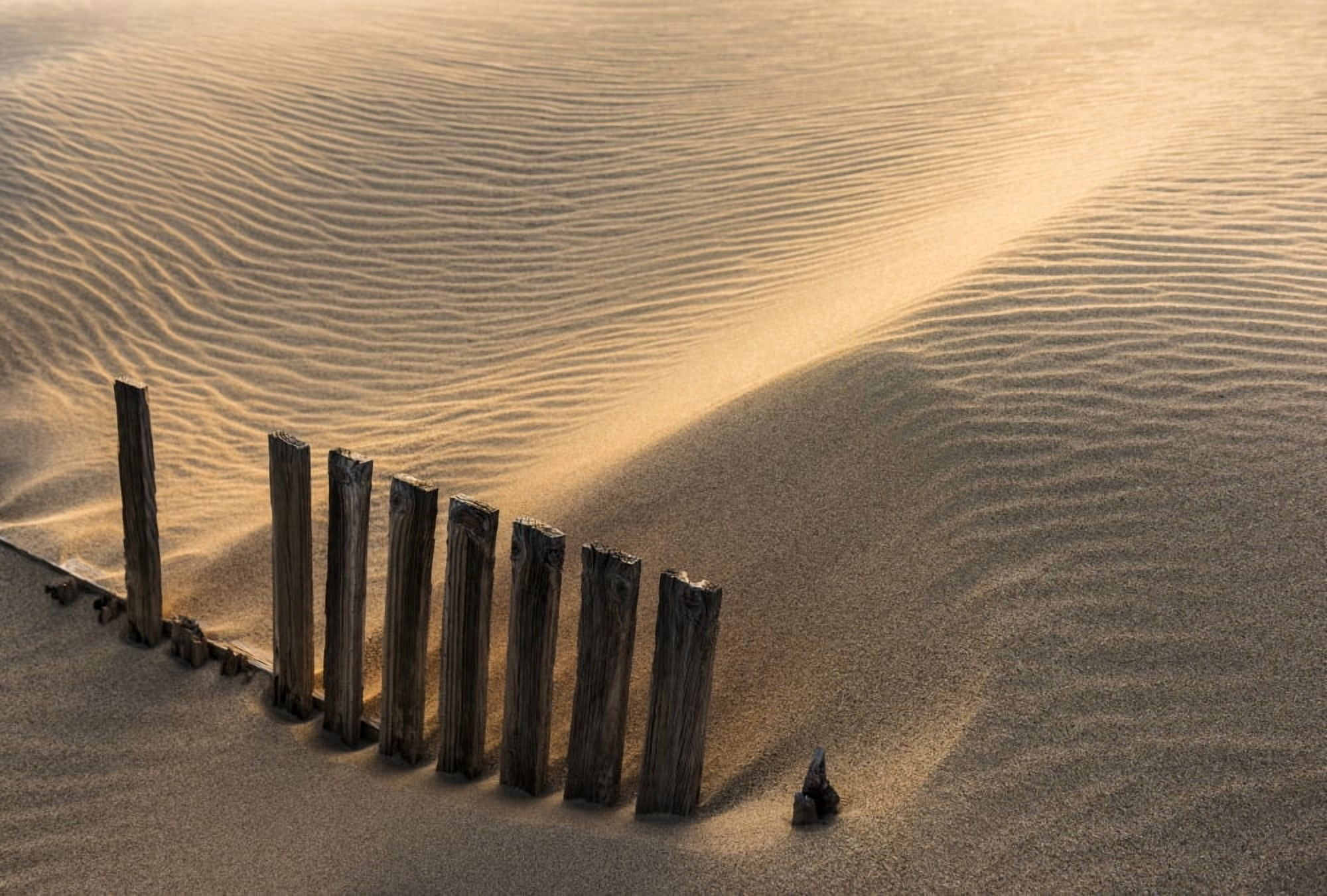 Punta Paloma sand dunes Tarifa Costa de la Luz Cadiz Andalusia Spain Canvas Art - Ben Welsh  Design Pics (19 x 12)