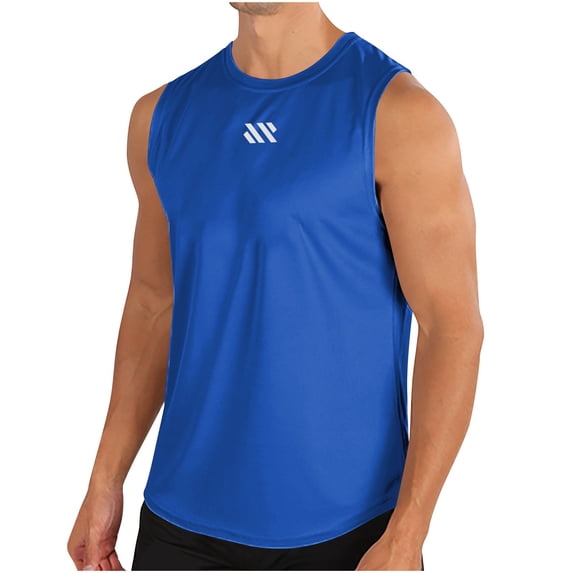 Puntoco Fashionable Men's Round-neck Solid Color Mesh Drying Sleeveless Blue L(L)
