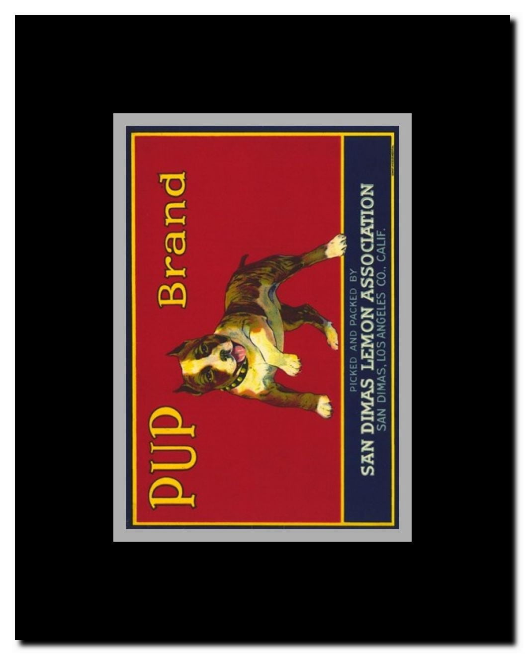 Pup Brand Lemons Framed Movie Poster