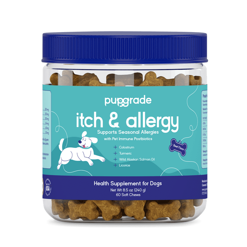 PupGrade Itch & Allergy Soft Chews for Dogs with Alaskan Salmon Oil & Apple Cider Vinegar for Occasional Itchy Skin & Allergies, 60 Count