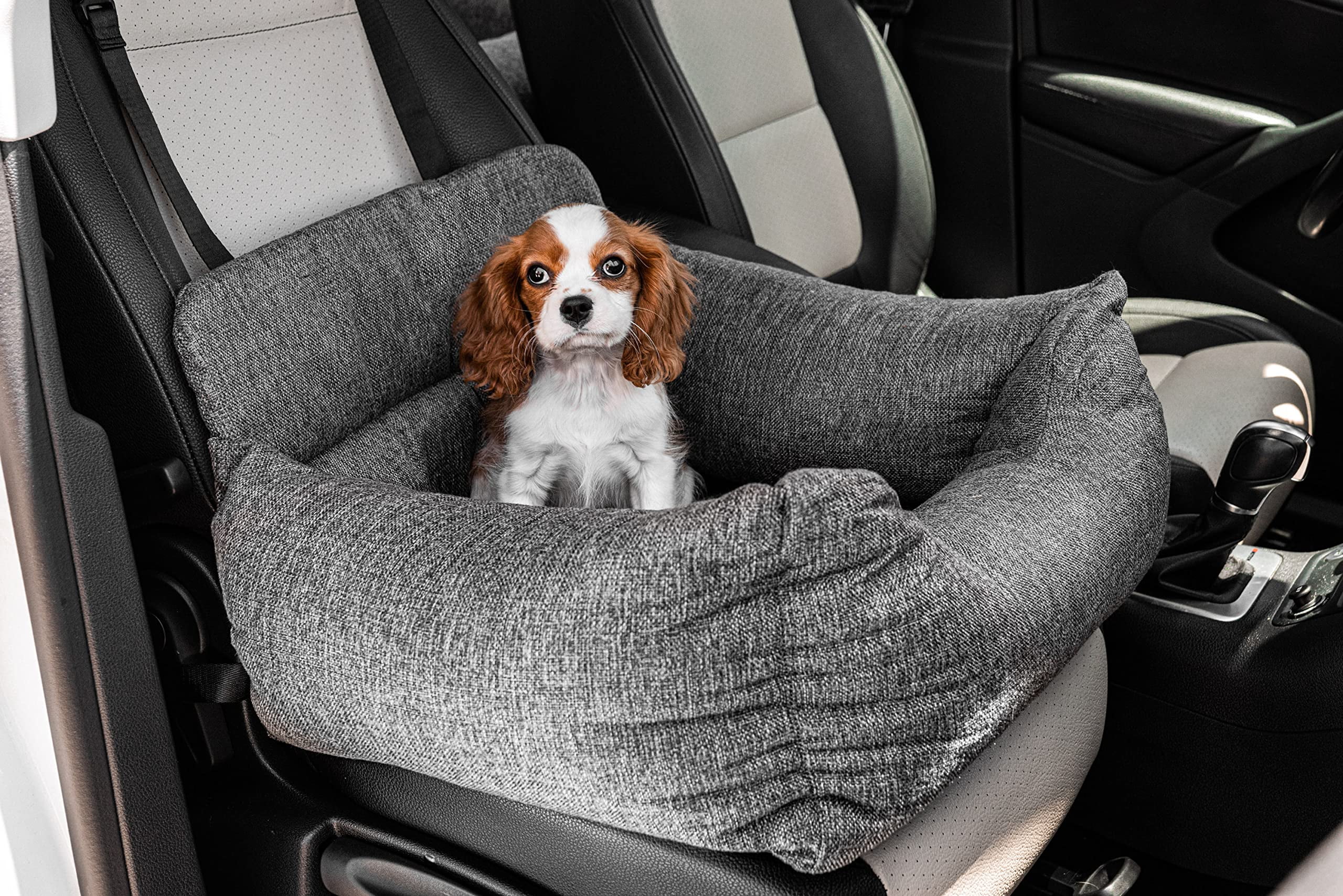 PupProtector Memory Foam Dog Car Bed Walmart