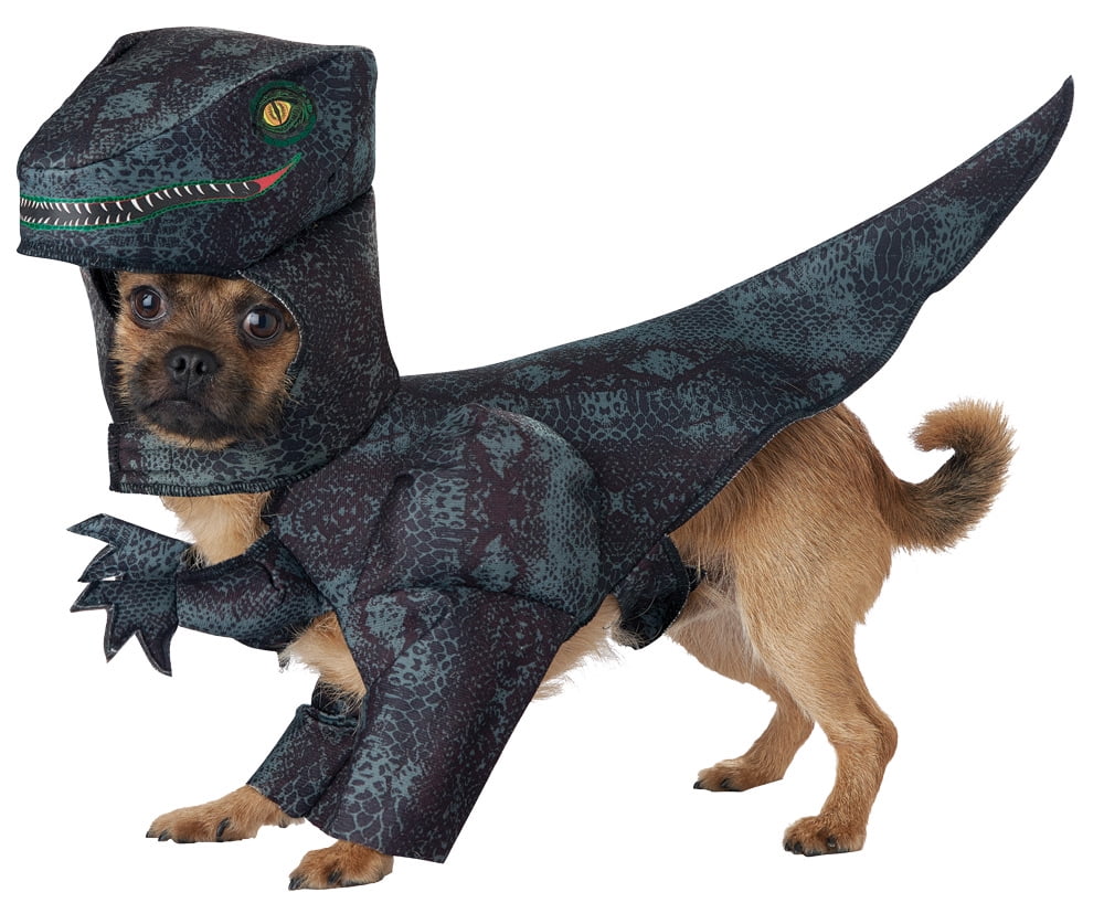 Dino Costume Dog