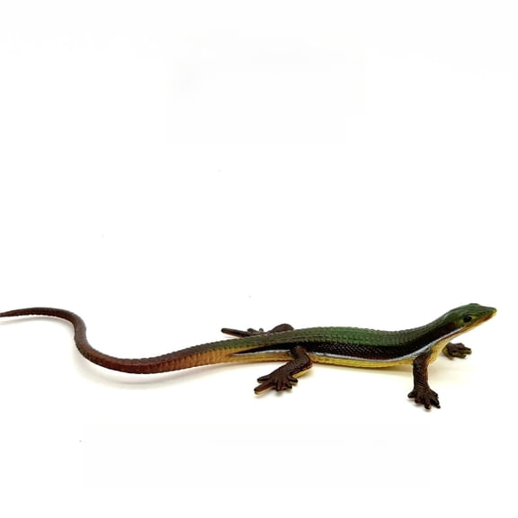 Pupeakam Common Lizard Animal Toy, Realistic Reptile Figurine, Detailed Wildlife Sculpture for Display and Collection