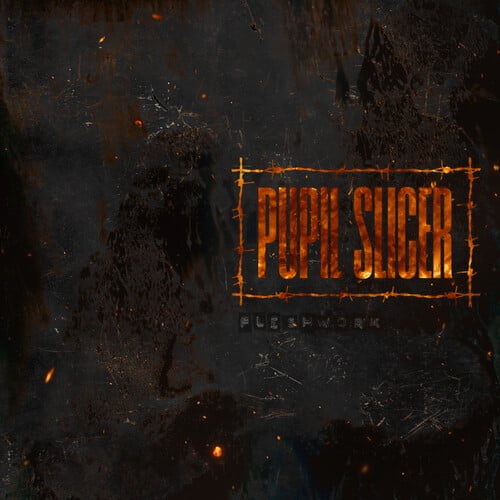 Pupil Slicer - Fleshwork - Music & Performance - CD