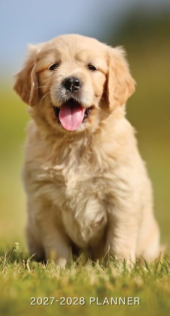 Puppies 2-Year 2027-28 3.5 X 6.5 Monthly Pocket Planner, (Paperback)