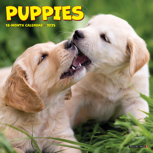 Puppies 2025 7 X 7 Mini Wall Calendar (Other)