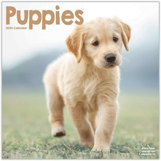 Puppies Calendar 2024 Puppies Dog Breed Calendar Puppies Premium
