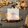 thumbnail image 1 of Puppies Flannel Fabric, 1 of 1