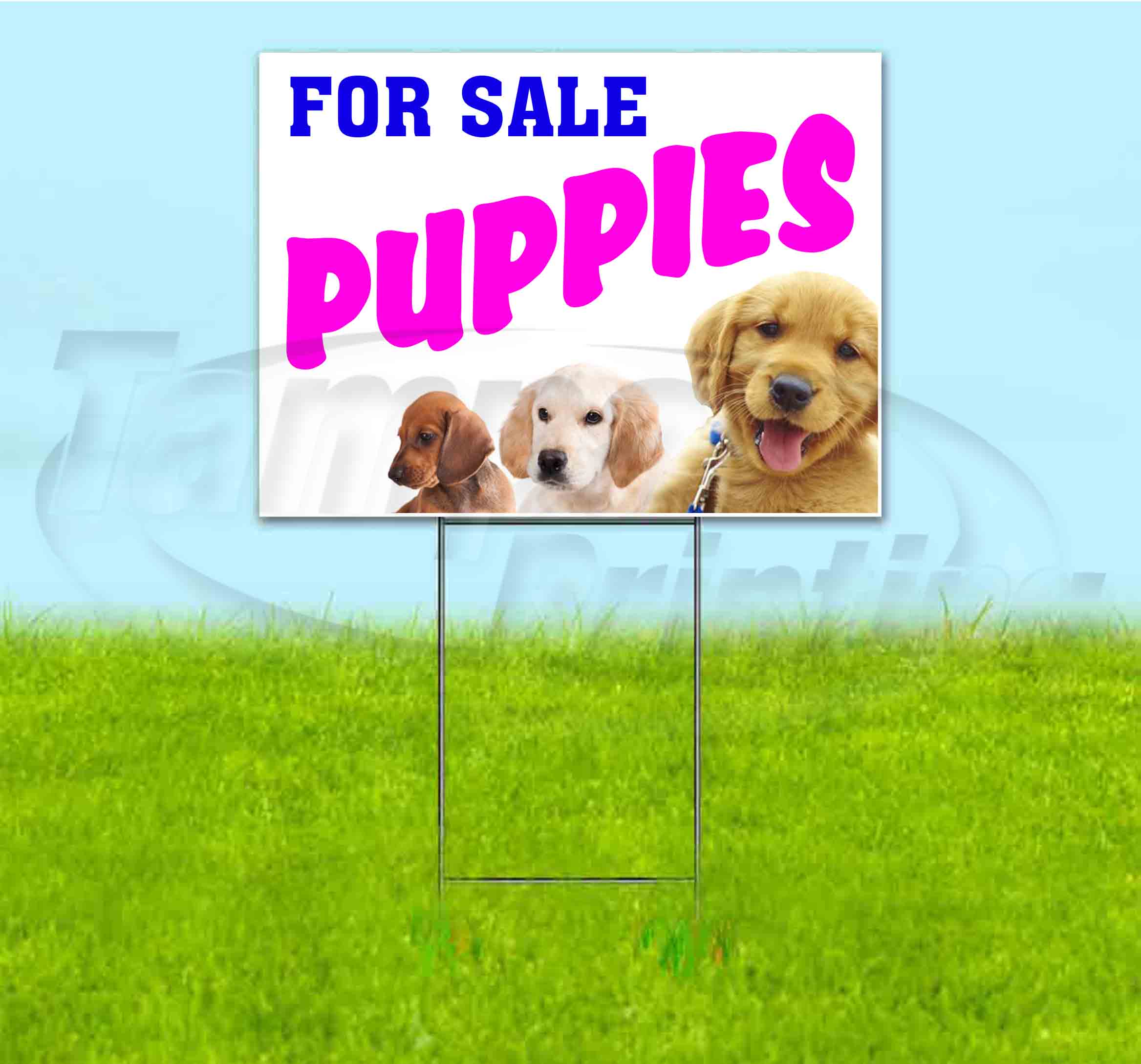 Puppies For Sale (18" x 24") Yard Sign, Includes Metal Step Stake