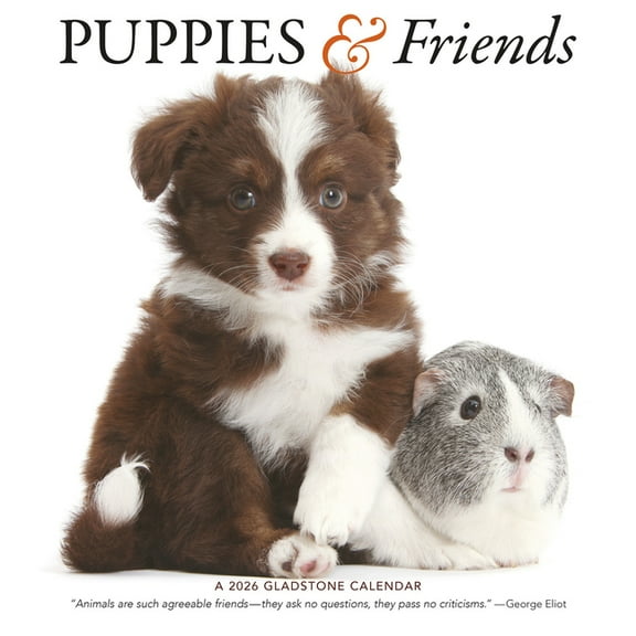 Puppies & Friends: 12x12 Wall, (Paperback)