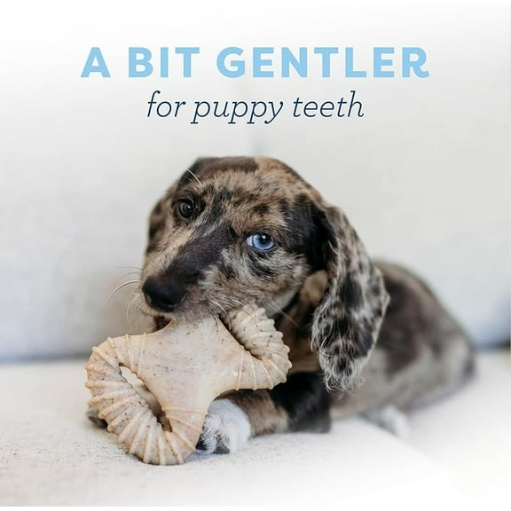 Puppy 2-Pack Dental Chew/Wishbone Dog Chew Toys, Made in USA, Real Bacon Flavor