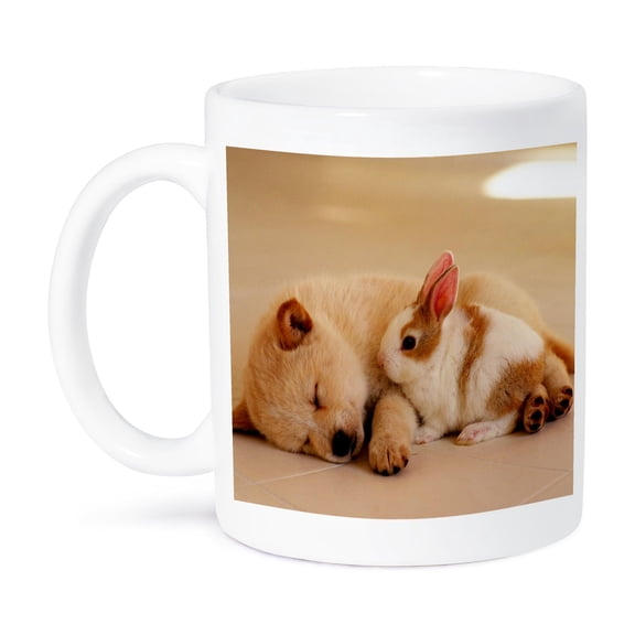 3dRose, Puppy and bunny cuddling, 11oz Mug