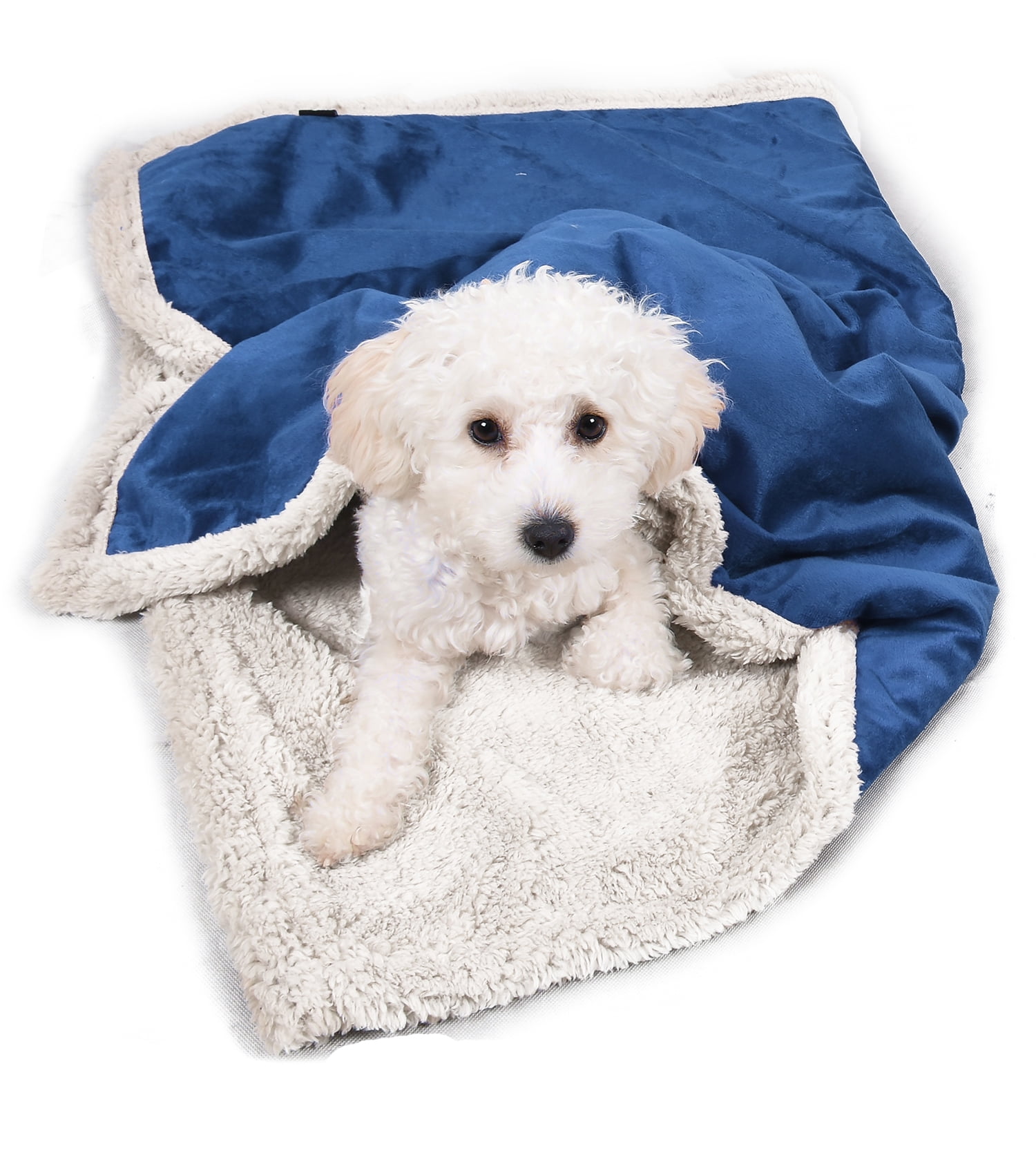 Cheap puppy outlet blankets