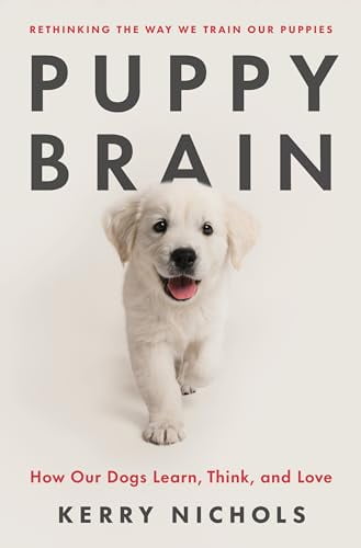 Pre-Owned Puppy Brain: How Our Dogs Learn, Think, and Love (Hardcover) 1250867916 9781250867919