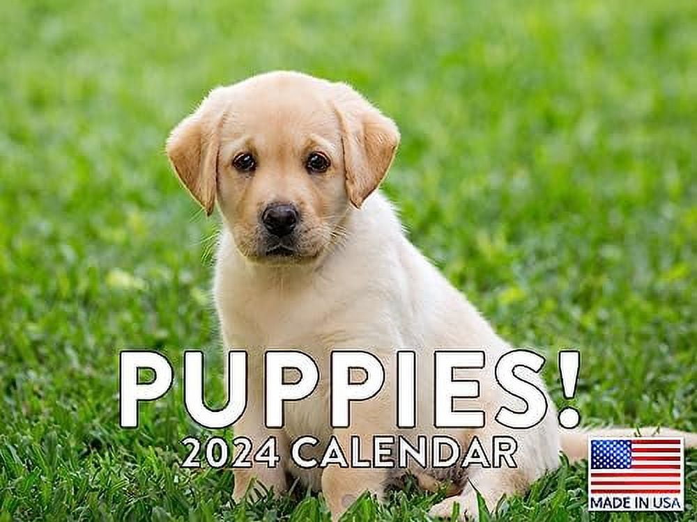 Puppy Calendar 2024