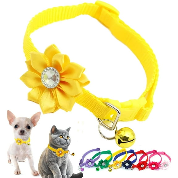 Puppy Collar with Bell and Flower,1 Pack XS Dog Collars with Bell and Floral Girl Cute for XXS XS Extra Small Female Dogs Cats Tiny Pets Little Kitten Yorkie Chihuahua