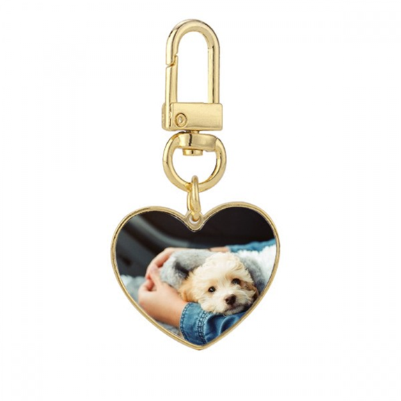 Puppy Cute Animal Photography Gold Heart Keychain Metal Keyring Holder