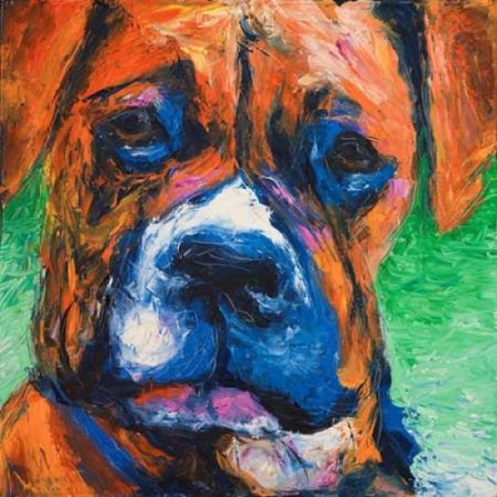 Puppy Dog Eyes II Canvas Art - Walt Johnson (24 x 24)