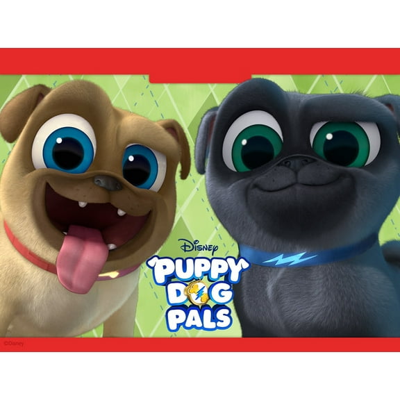 Puppy Dog Pals Birthday Personalized Edible Frosting Image 1/4 sheet Cake Topper