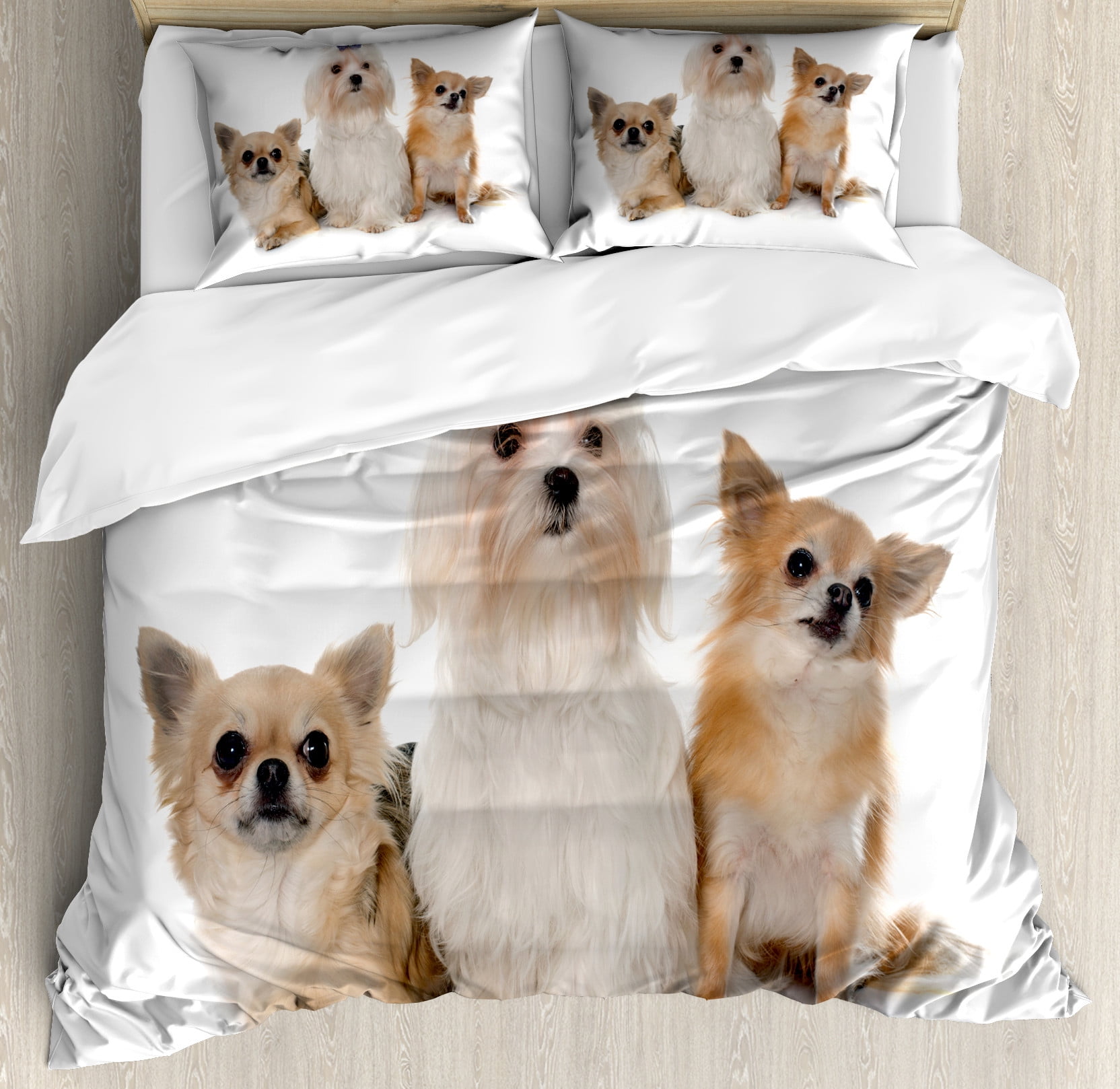 Puppy Duvet Cover Set Chihuahua and Maltese Breed Dogs Look Same Direction on Plain Backdrop Decorative 3 Piece Bedding Set with 2 Pillow Shams Queen Size Pale Brown White by Ambesonne Walmart
