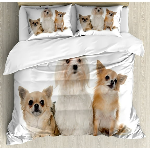 Puppy Duvet Cover Set, Chihuahua and Maltese Breed Dogs Look Same Direction on Plain Backdrop, Decorative 3 Piece Bedding Set with 2 Pillow Shams, Queen Size, Pale Brown White, by Ambesonne