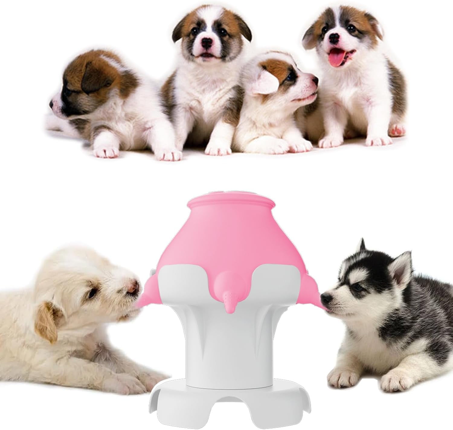 Multiple puppy feeding station sale