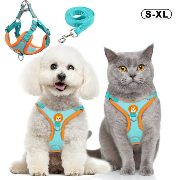 Puppy Harness and Leash Set - Dog Vest Harness for Small Dogs Medium Dogs- Adjustable Reflective Step in Harness for Dogs - Soft Mesh Comfort Fit No Pull No Choke - Blue , S