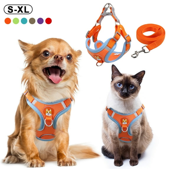 Puppy Harness and Leash Set - Dog Vest Harness for Small Dogs Medium Dogs- Adjustable Reflective Step in Harness for Dogs - Soft Mesh Comfort Fit No Pull No Choke - Orange , XL