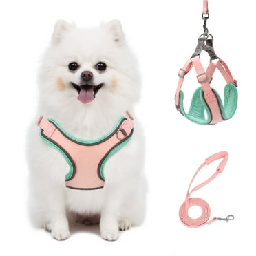 Puppy Harness and Leash Set - Dog Vest Harness for Small Dogs Medium Dogs- Adjustable Reflective Step in Harness for Dogs - Soft Mesh Comfort Fit No Pull No Choke, XXS