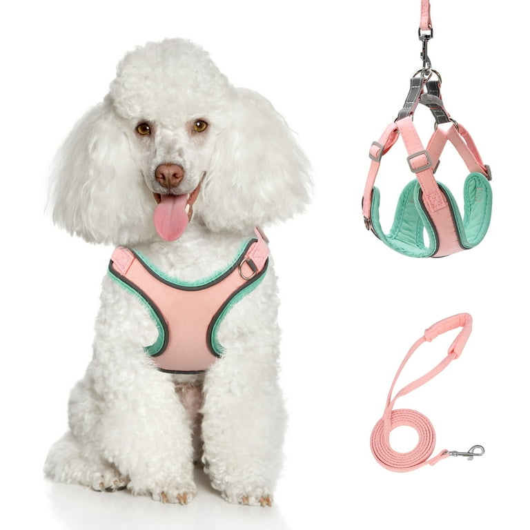 Dog vest chest strap leash Dog vest chest strap leash