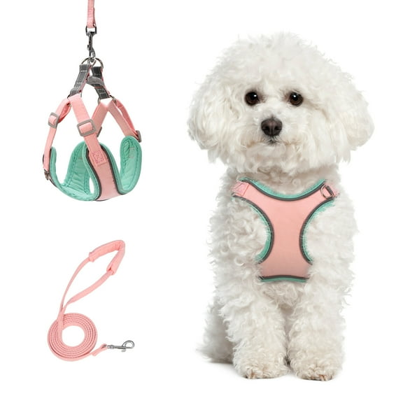 Puppy Harness and Leash Set - Dog Vest Harness for Small Dogs Medium Dogs- Adjustable Reflective Step in Harness for Dogs - Soft Mesh Comfort Fit No Pull No Choke, XS