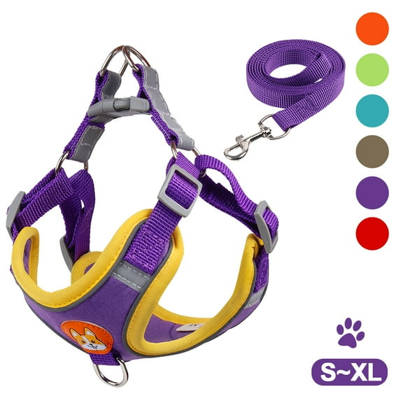Puppy Harness - Small Dog Harness and Leash Set, Adjustable & Comfortable Padded Reflective Vest for Puppies and Small Breeds Dogs Walking ( Purple,M )
