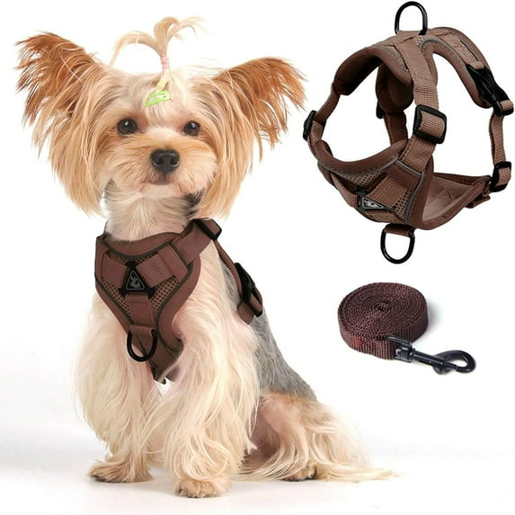 Puppy Harness Vest,Soft Mesh Small Dog Harness and Leash Set,Cat Outdoor Walking Escape Proof with Reflective Strip Adjustable Jacket