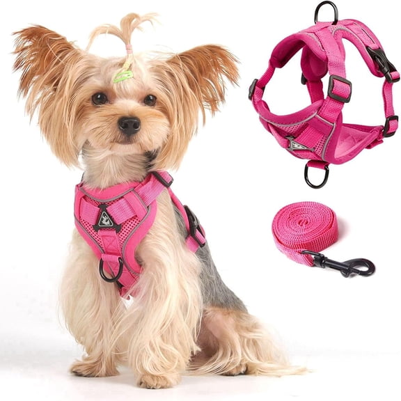 Puppy Harness Vest,Soft Mesh Small Dog Harness and Leash Set,Cat Outdoor Walking Escape Proof with Reflective Strip Adjustable Jacket