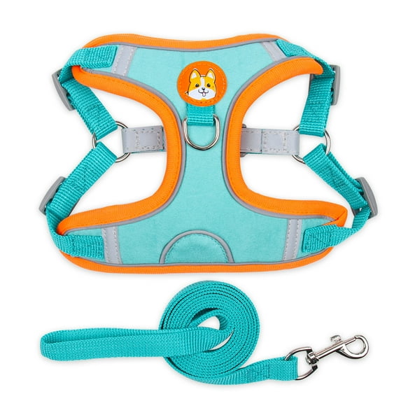 Puppy Harness with Tow Rope, Pet Chest Harness Vest for Little Dog and Cats